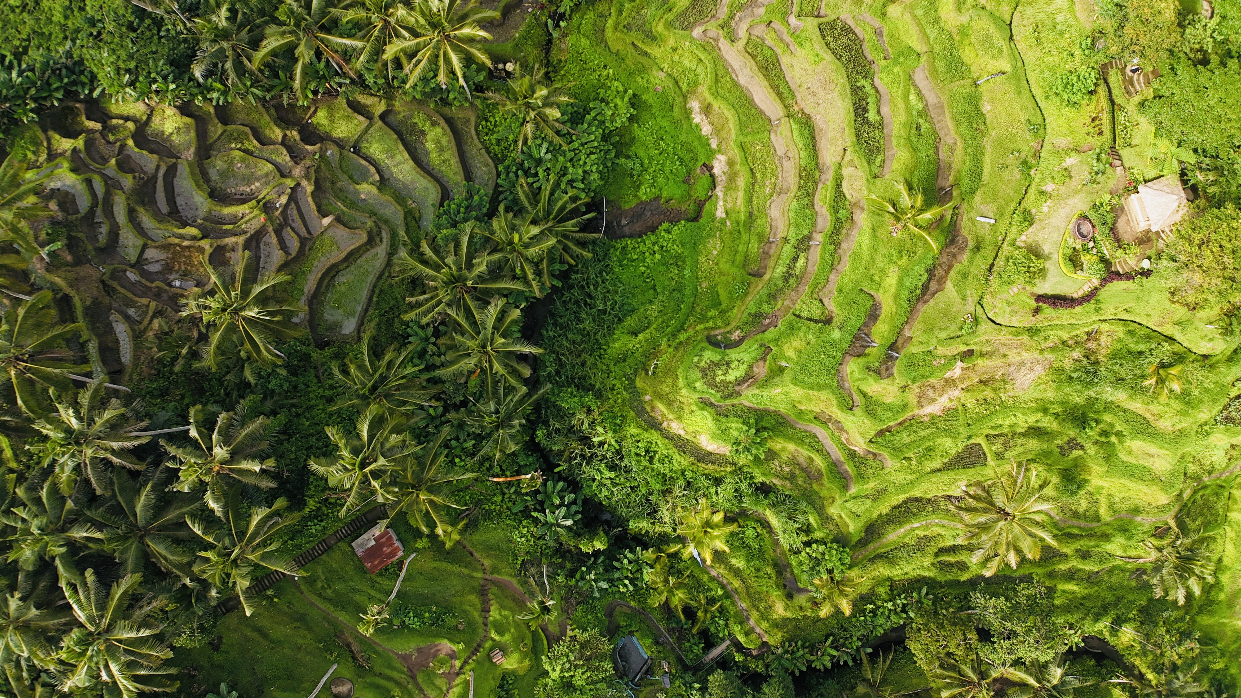 Voyages à venir